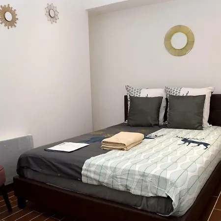 Apartament L'hermes Centre Historique
